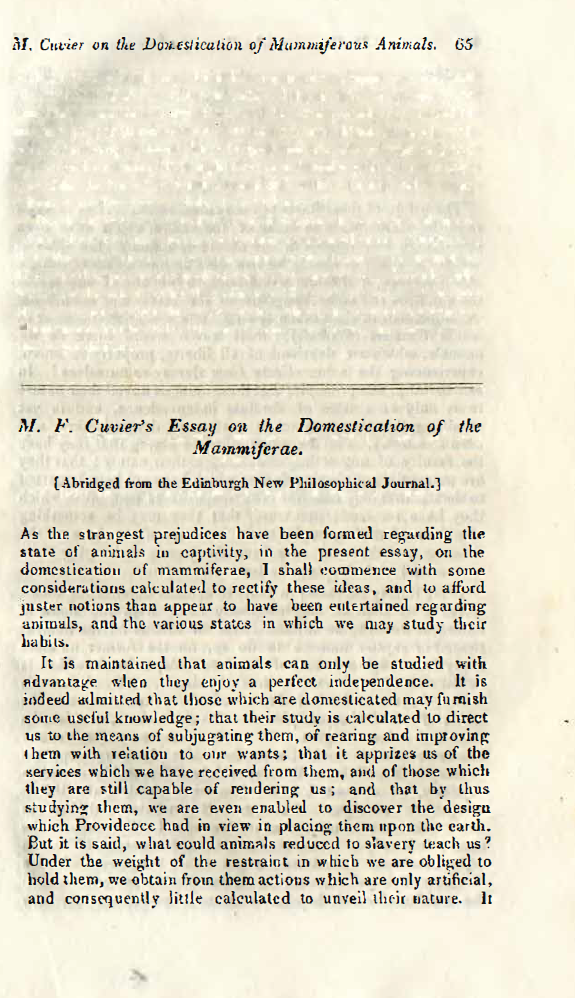 Image of the first page of the article titled M. F. Cuvier's essay on the domestication of the mammiferae