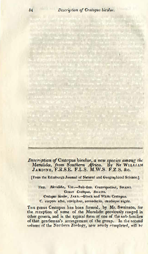 First page of the article titled Description of Cratopus bicolor, a new species among the Merulidae, from Southern Africa