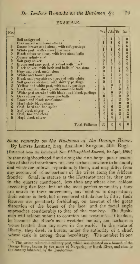 Image of the first page of the article titled Some remarks on the Bushmen of the Orange River