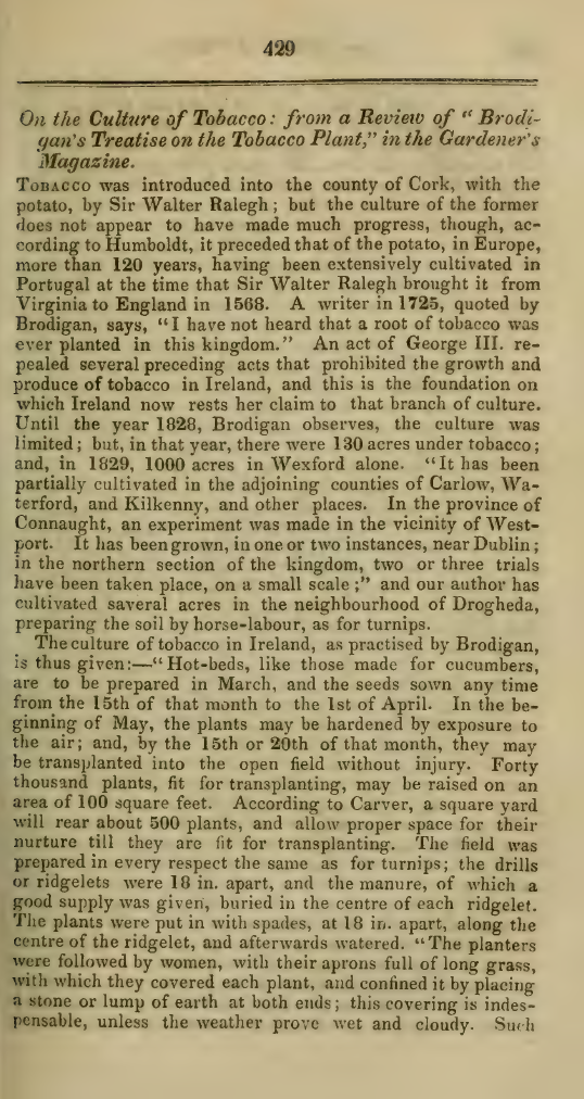 Image of the first page of the article titled On the culture of tobacco